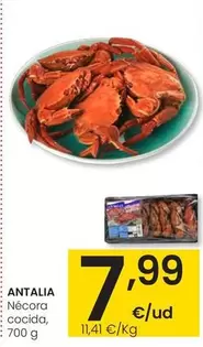 Antalia - Nécora Cocida