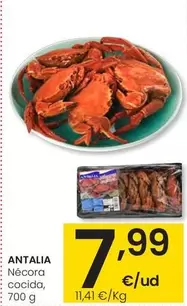 Antalia - Necora Cocida