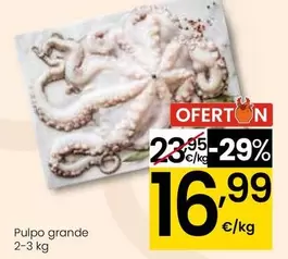 Pulpo Grande 