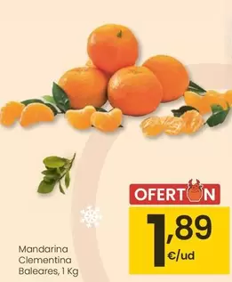 Mandarina Clementina Baleares