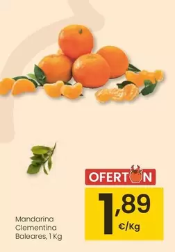 Mandarina Clementina Baleres