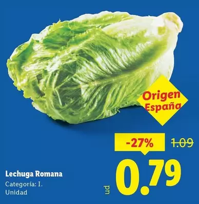 Lechuga Romana