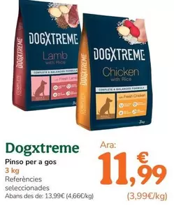 Dogxtreme - Pinso Per A Gos