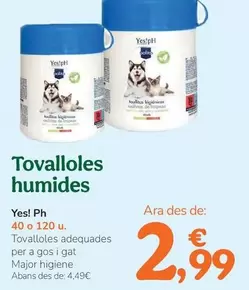 Yes!Ph - Tovalloles Humides
