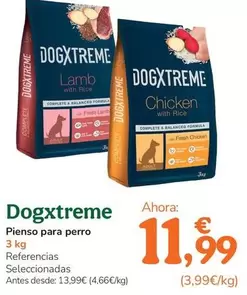 Dogxtreme - Pienso Para Perro