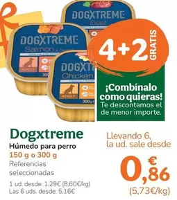Dogxtreme - Humedo Para Perro