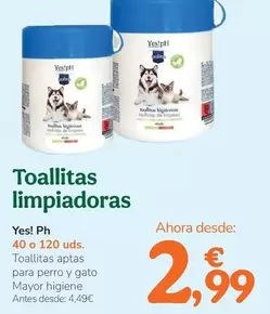 Yes!Ph - Toallitas Limpiadoras