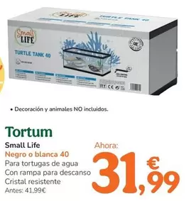 Small Life - Tortum