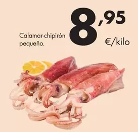 Calamar-Chipirón Pequeño