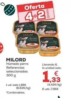 Milord - Húmedo Perro