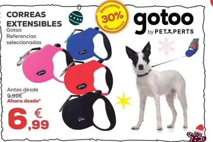 Gotoo - Correas Extensibles