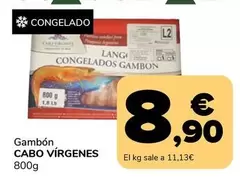 Cabo Virgenes - Gambon