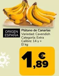 Platano De Canarias