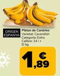 Platan De Canaries