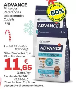 Advance - Pienso Perro