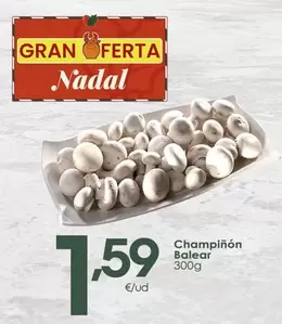 Champinon Balear