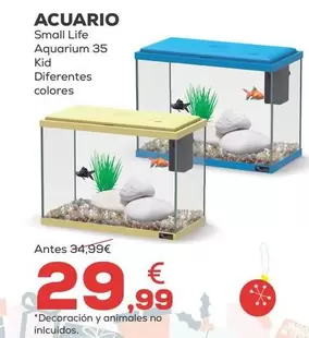 Small Life - Acuario  