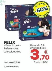 Felix - Húmedo Gato 