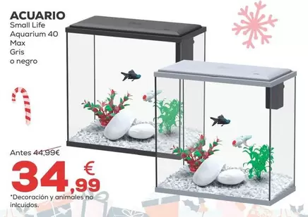 Small Life - Acuario