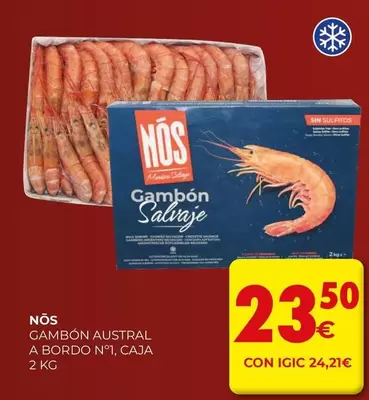 nos - Gambon Austral A Bordo N° 1