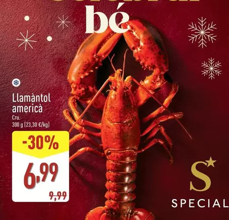 Special - Llamantol America