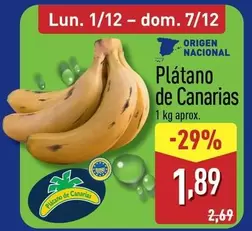 Platano De Canarias