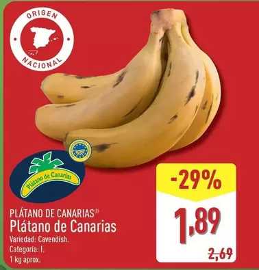 Platano De Canarias
