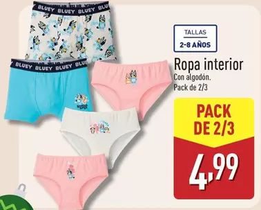 Bluey - Ropa Interior