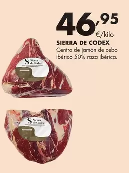Sierra De Codex - Centro De Jamón De Cebo Ibérico 50% Raza Ibérica
