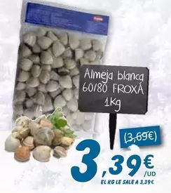 Froxa - Almeja Blanca