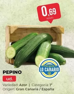 origen - Pepino
