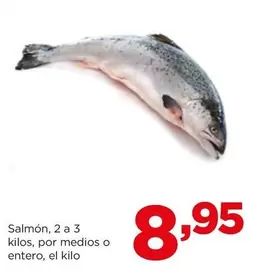 Salmón, 2 A 3 Kilos, Por Medios O Entero
