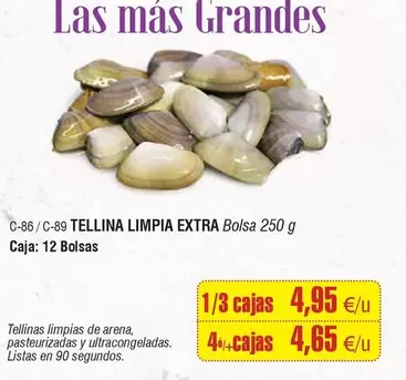 Tellina Limpia Extra