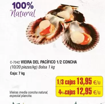 Vieira Del Pacifico 1/2 Concha