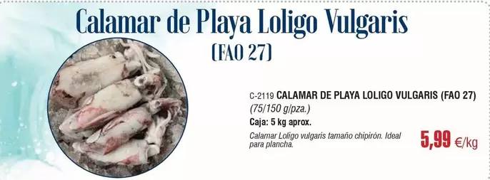Ideal - Calamar De Playa Loligo