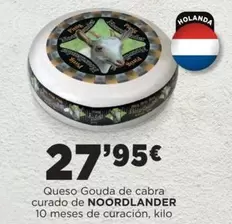 Queso Gouda De Cabra Curado