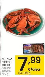 Antalia - Nécora Cocida