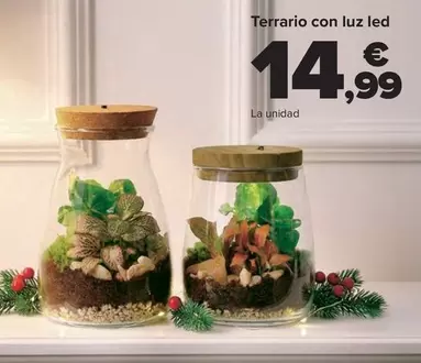 Terrario Con Luz Led
