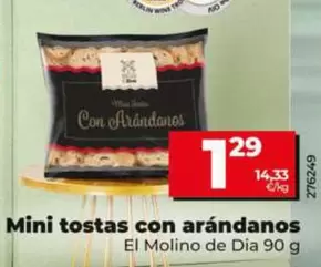 El Molino De Dia - Mini Tostas Con Arandanos