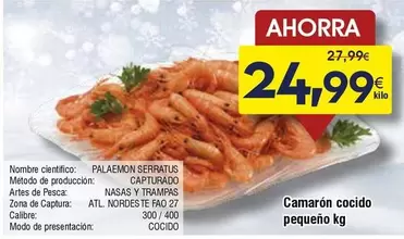 Palaemon Serratus Capturado