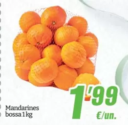 Mandarines Bossa