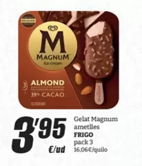 Frigo - Gelat Magnum Ametlles