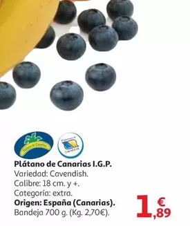 origen - Plátano De Canarias I.g.p.
