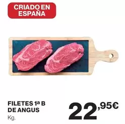Filetes De Angus