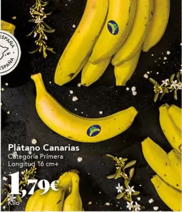 Platano Canarias