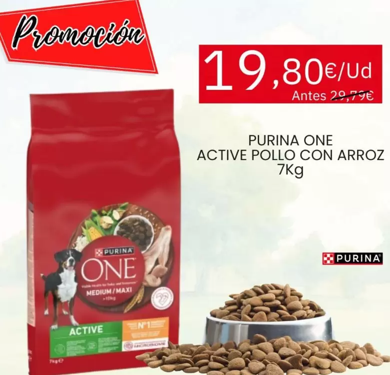 Purina - One Active Pollo Con Arroz