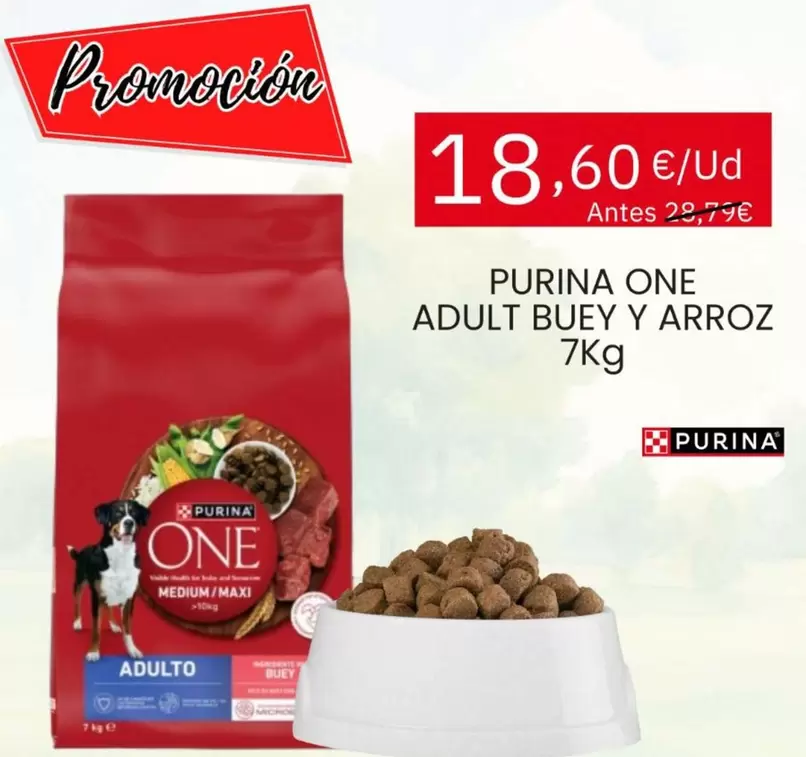 Purina - One Adult Buey Y Arroz