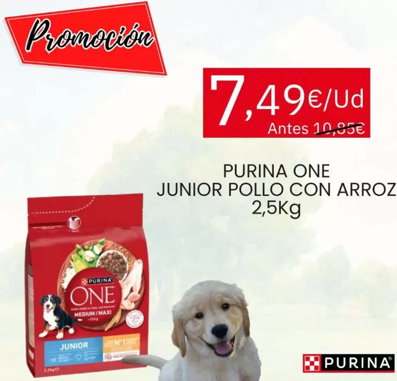 Purina - One Junior Pollo Con Arroz