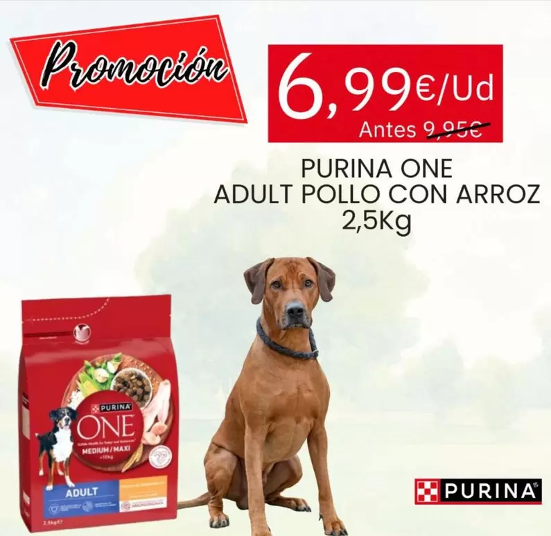 Purina - One Adult Pollo Con Arroz
