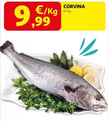 Corvina